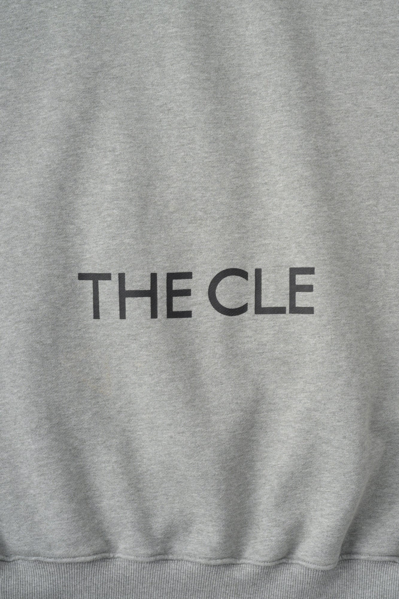 BACK LOGO SWEAT HOODIE / GRAY